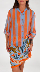 Camicia organza riga larga H.