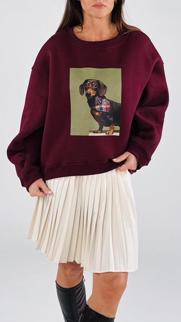 Felpa over bassotto Vic.